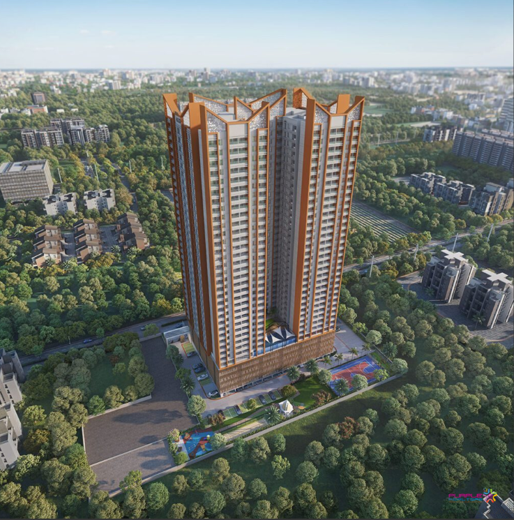 Krisala 41 Zoy-IndexTap